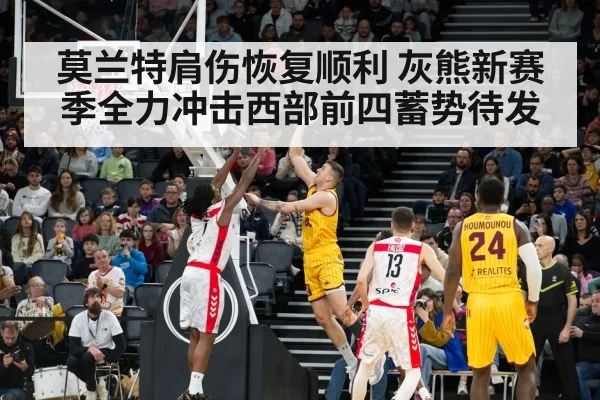 莫兰特肩伤恢复顺利 灰熊新赛季全力冲击西部前四蓄势待发