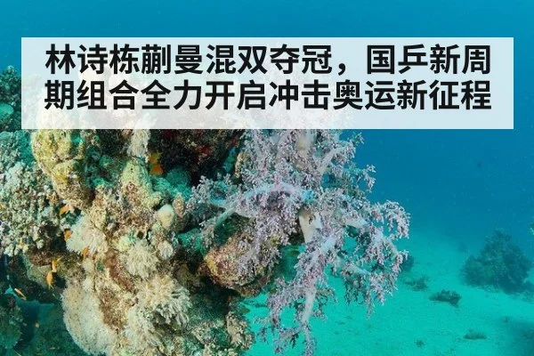 林诗栋蒯曼混双夺冠，国乒新周期组合全力开启冲击奥运新征程