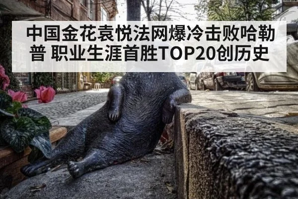 中国金花袁悦法网爆冷击败哈勒普 职业生涯首胜TOP20创历史